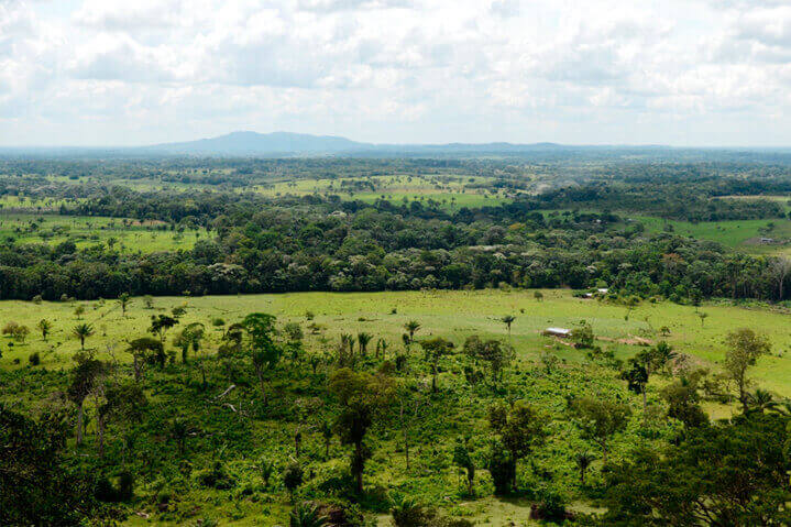Llanos Orientales - Colombia09.jpg